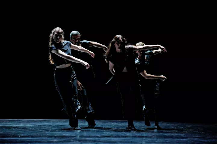 Ballet de l'Opera de Lyon 7